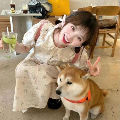 完美父母
